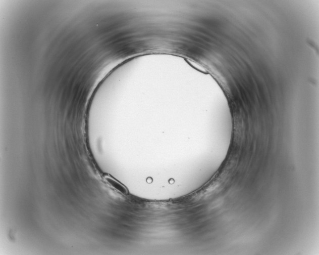 X0000098140956200805081017
