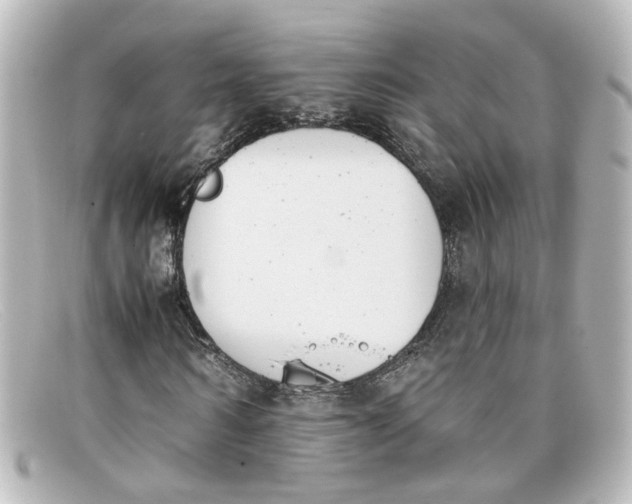 X0000098140962200805081016
