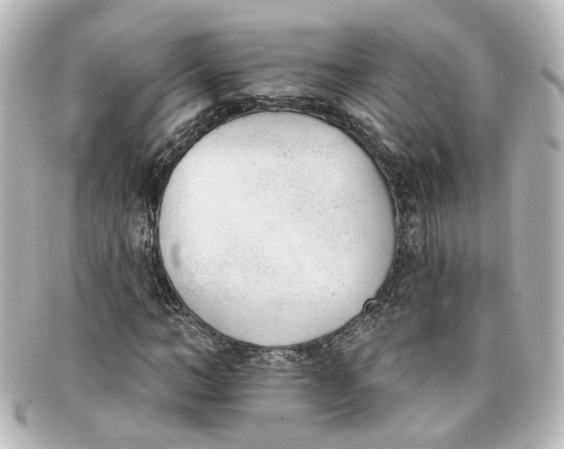 X0000098140966200805081016