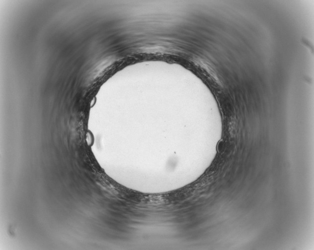 X0000098140968200805081016