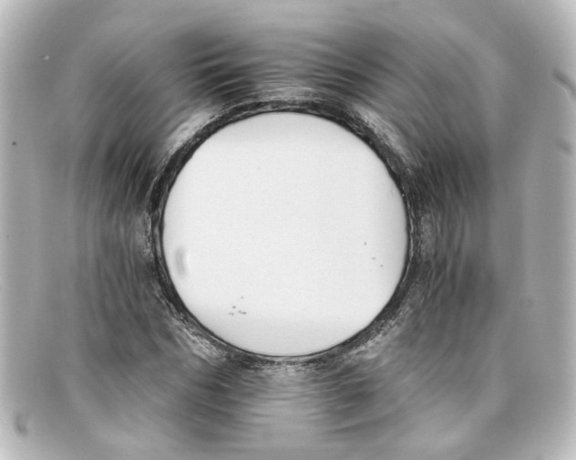 X0000098140970200805081016