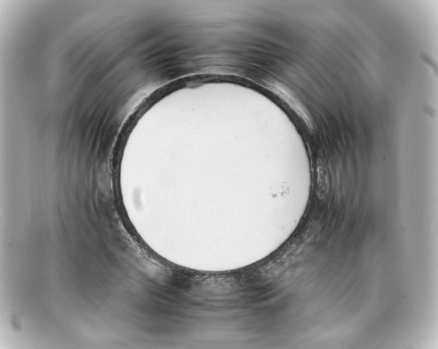 X0000098140972200805081016