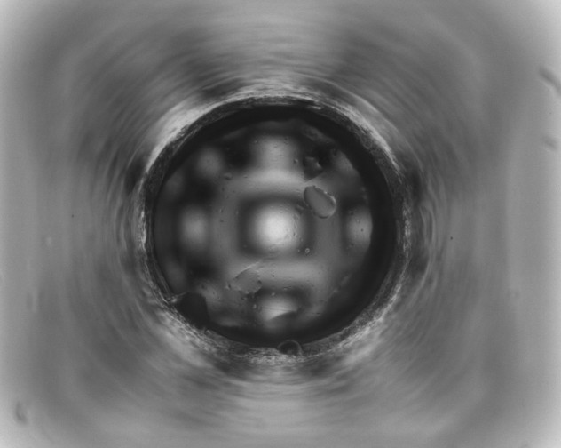 X0000098140973200805081016