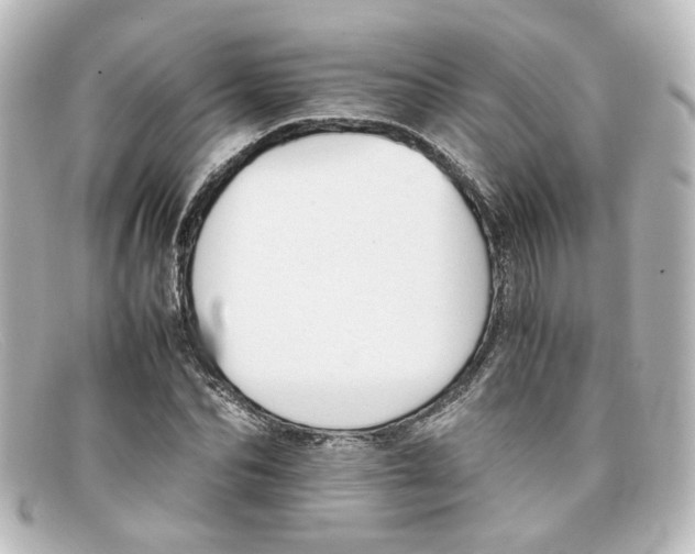 X0000098140974200805081016
