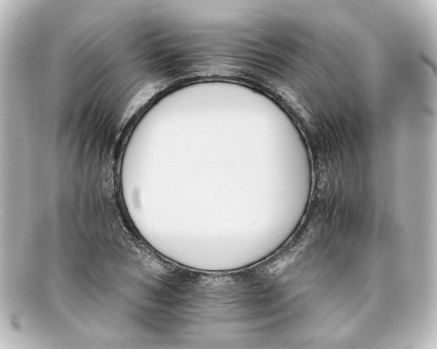 X0000098140978200805081016