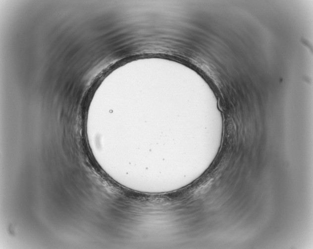 X0000098140979200805081016