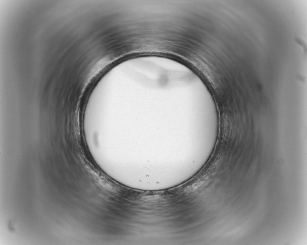 X0000098140982200805081016