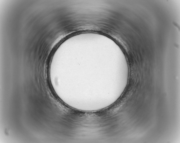 X0000098140983200805081016