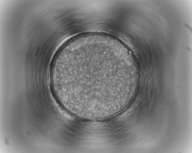 X0000098140984200805081016