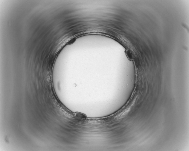 X0000098140985200805081016