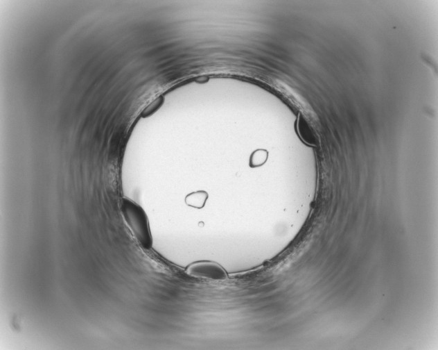 X0000098140993200805081016