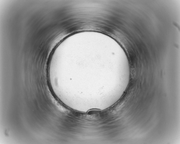 X0000098140995200805081016