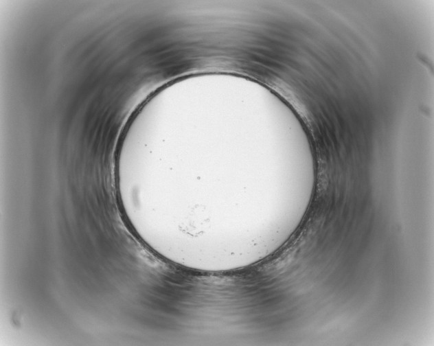 X0000098140996200805081016