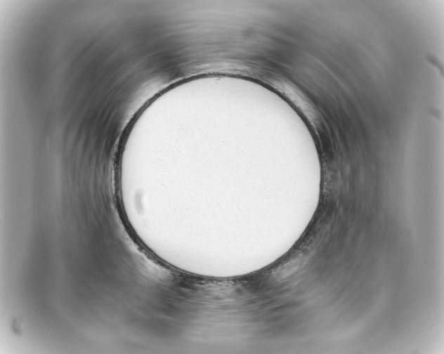 X0000098140999200805081016