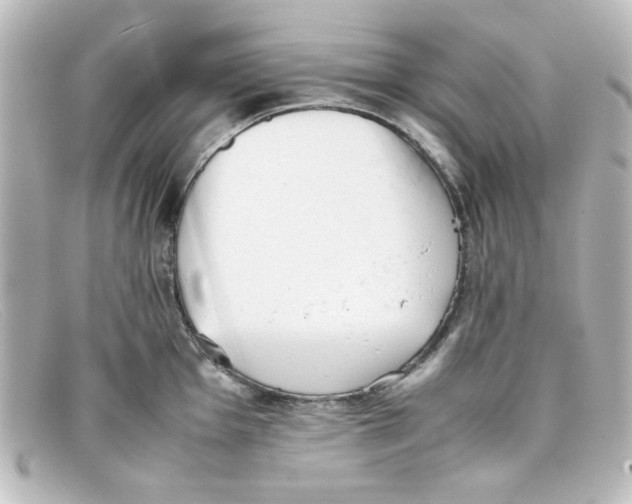 X0000098141001200805081016