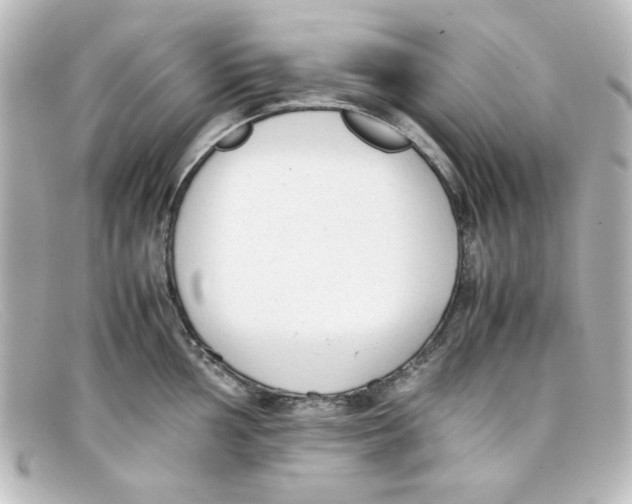 X0000098141002200805081016