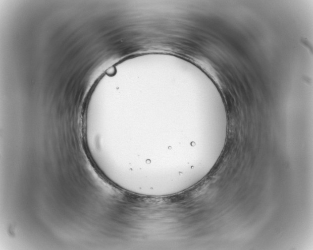 X0000098141003200805081016