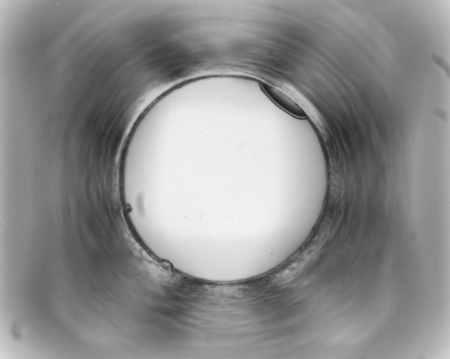 X0000098141004200805081016