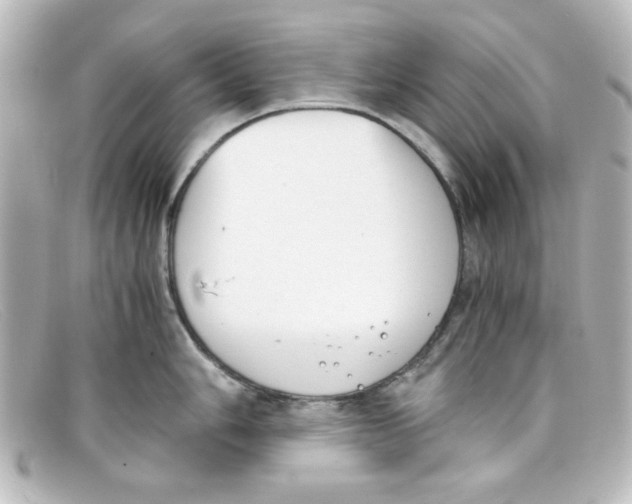 X0000098141006200805081016