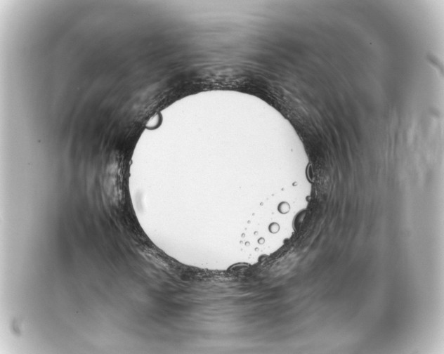 X0000098141010200805081015