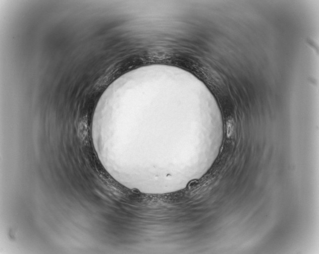 X0000098141011200805081015