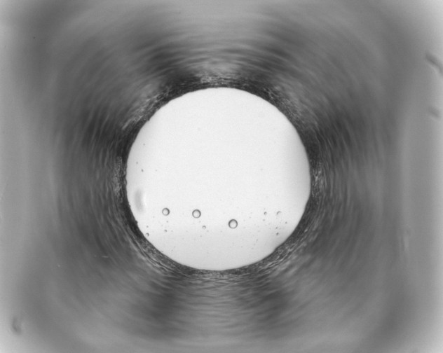 X0000098141012200805081015