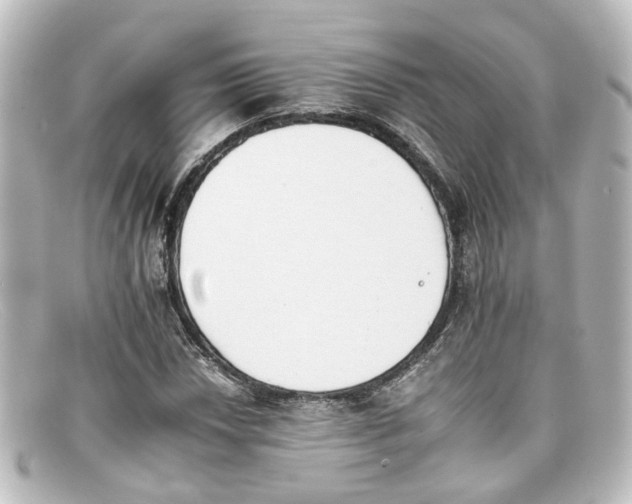 X0000098141018200805081015