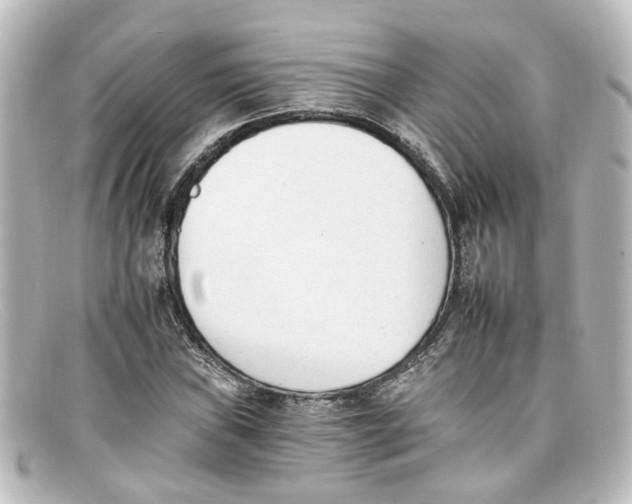 X0000098141019200805081015