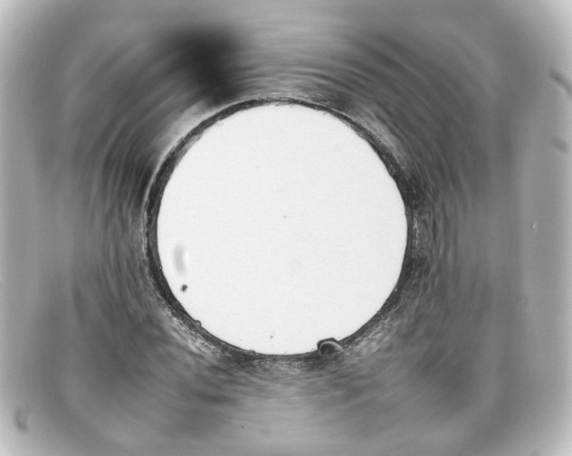 X0000098141020200805081015