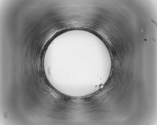 X0000098141023200805081015