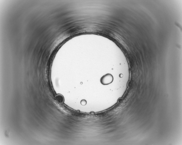 X0000098141026200805081015