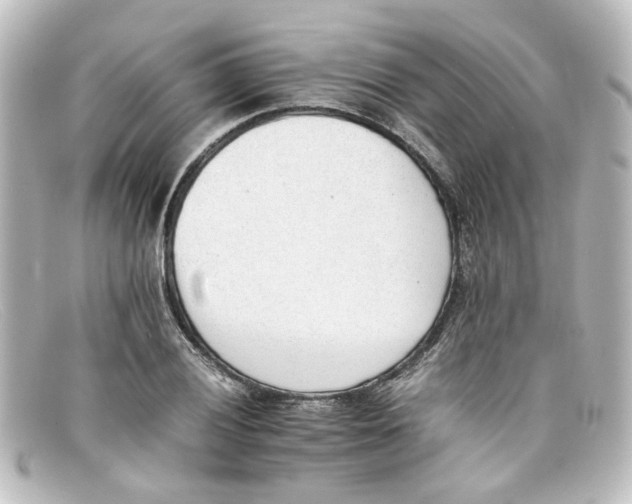 X0000098141028200805081015