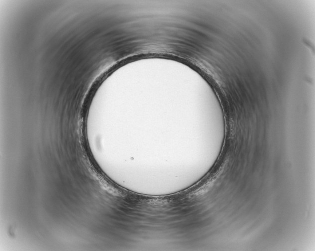 X0000098141029200805081015