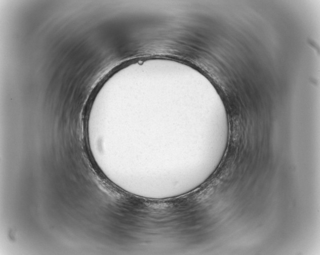 X0000098141031200805081015