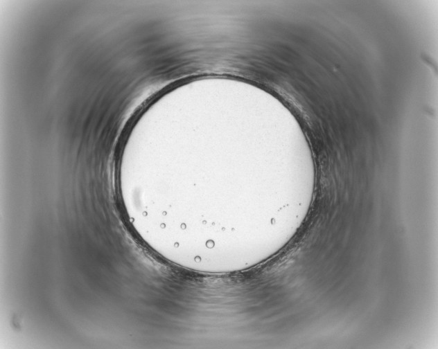 X0000098141032200805081015