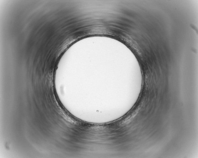 X0000098141033200805081015