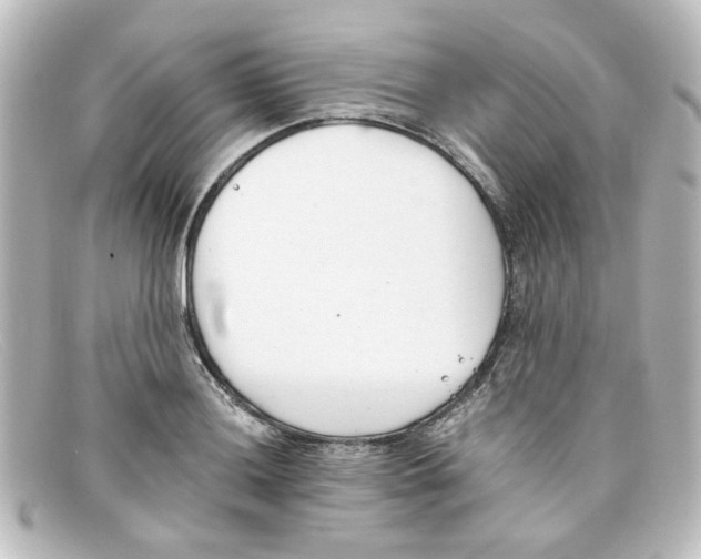 X0000098141036200805081015
