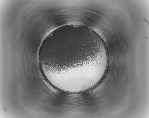 X0000098141037200805081015