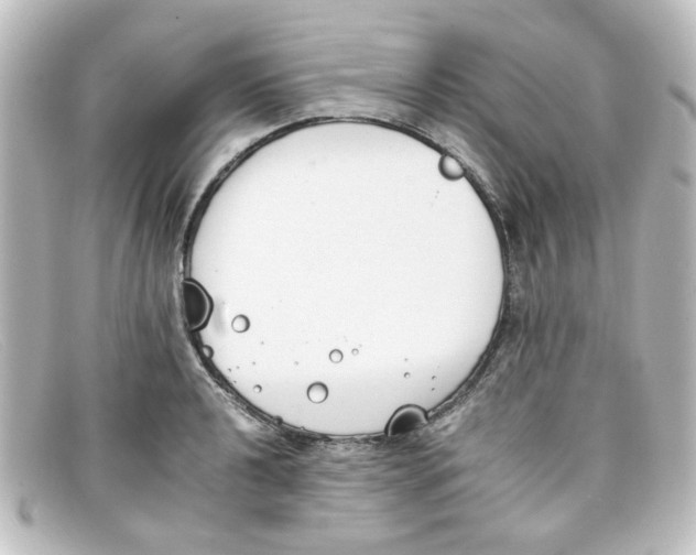 X0000098141040200805081015