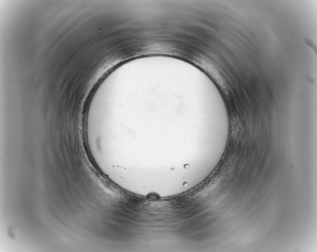 X0000098141043200805081015