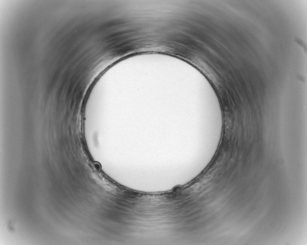 X0000098141044200805081015