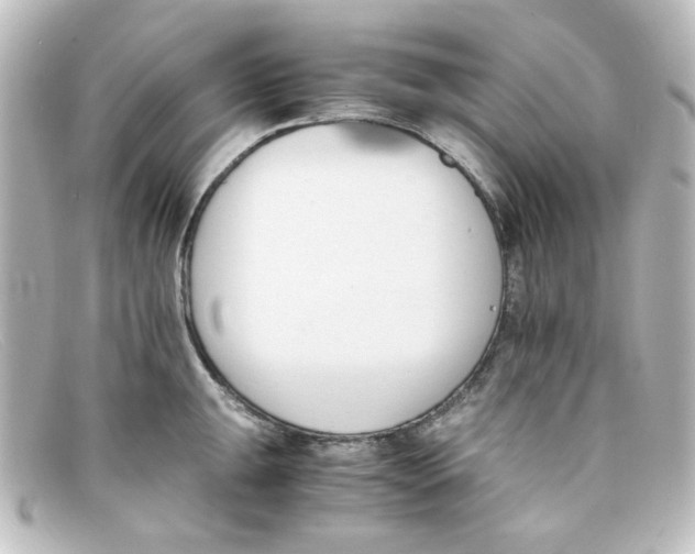 X0000098141047200805081016