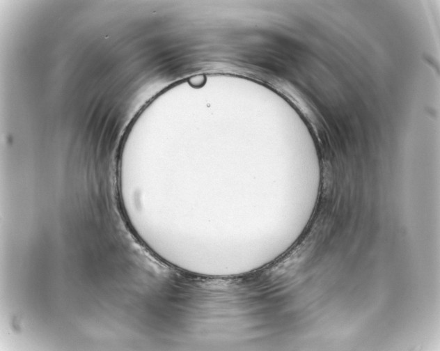 X0000098141048200805081016