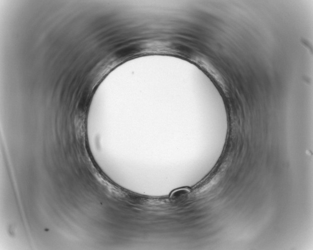 X0000098141049200805081016