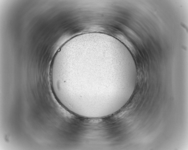 X0000098141055200805081016
