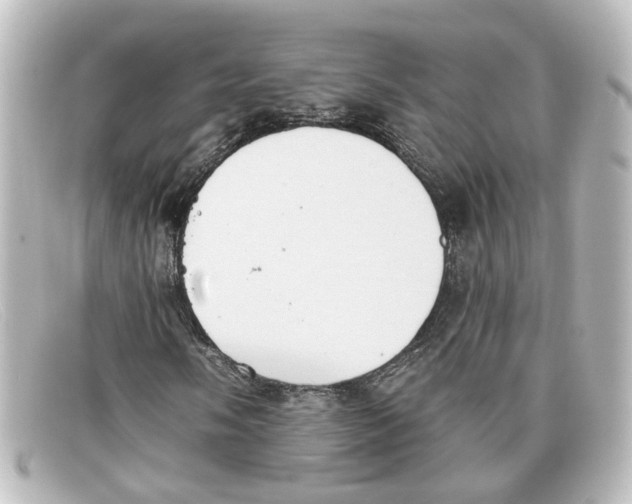 X0000098141058200805081015