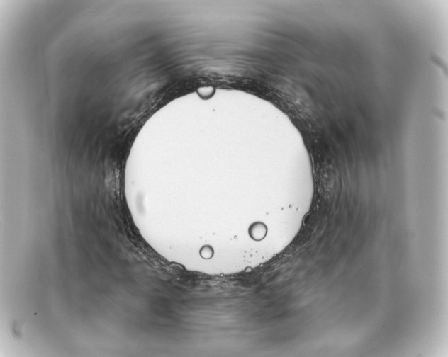 X0000098141061200805081015