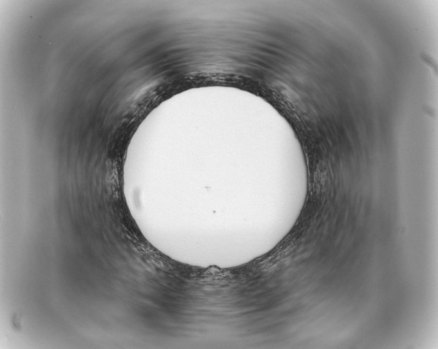 X0000098141062200805081015