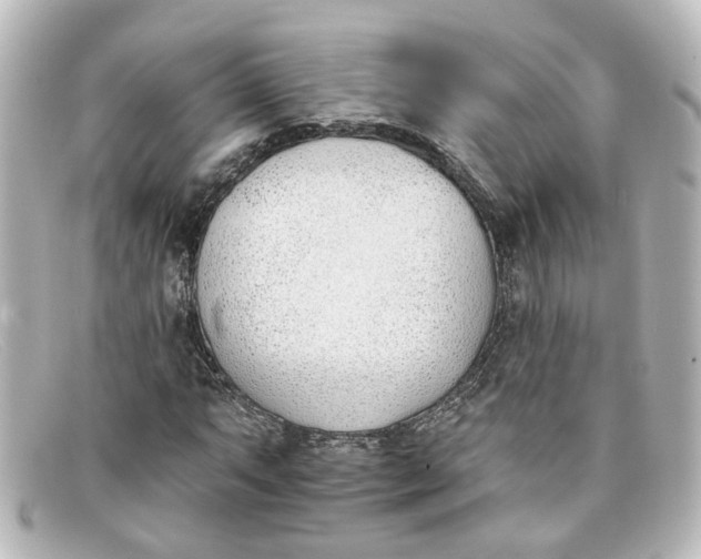 X0000098141063200805081015