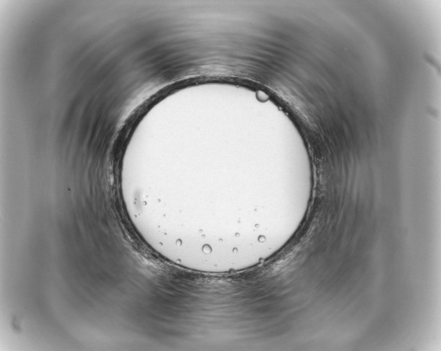 X0000098141070200805081015